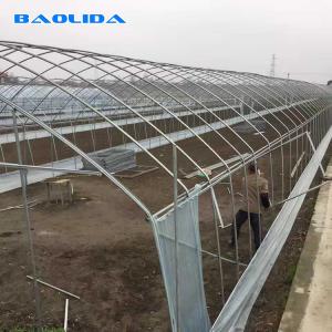Single Span Plastic Tunnel Greenhouse Polyethylene Farm Agriculture Support