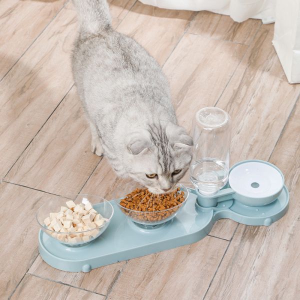 Neck Protection Three Purpose Tilting Pet Feeder Bowls