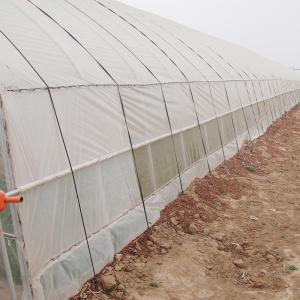 Optimal Plant Cultivation Tunnel Greenhouse Covered with 150/200micro PO Film