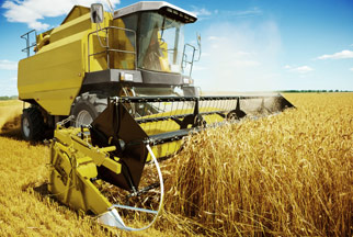 Max Forging Weight 200 KG Custom Forging Services Carbon Steel / Alloy Steel/Tool Steel