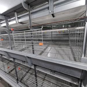 Easy Cleaning Broiler Chicken Cage Farming Coop Animal Husbandry Equipment