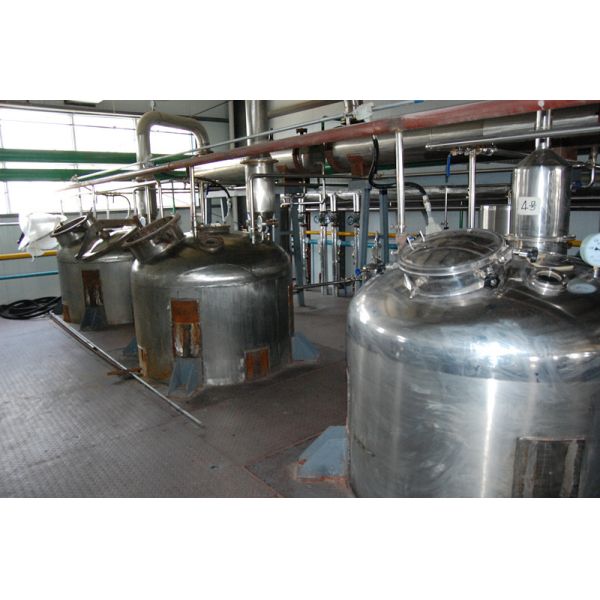 Evergreen Biotech Inc