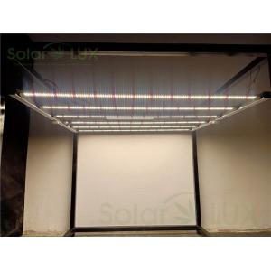 Quality 1200w 800w Quantum Board Horticulture LED Grow Lights for sale