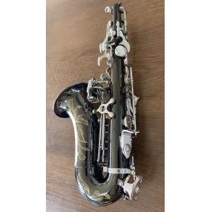 Professional Woodwind Instrument Alto Saxophone How much does a professional