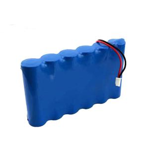 18650 48Wh 2000mAh 24V Lithium Ion Battery Pack