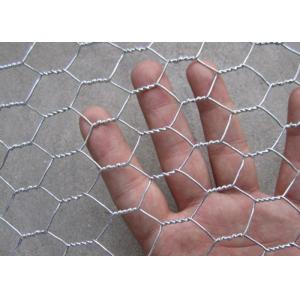 Small Hole Bwg19 Chicken Mesh Fence Coop Galvanized Wire Rolls