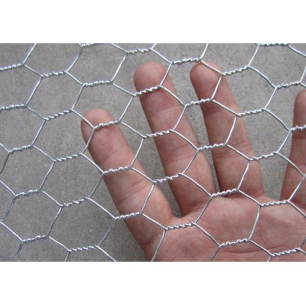 Buy Small Hole Bwg19 Chicken Mesh Fence Coop Galvanized Wire Rolls at wholesale prices