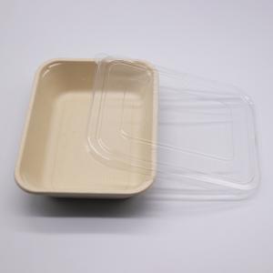 disposable lunch tray compostable sugarcane bassage serving trays
