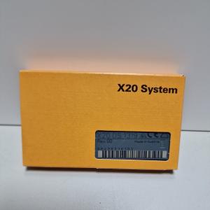 X20DS1319 B&R X20 SYSTEM I/O Module 4 Digital Input Channels