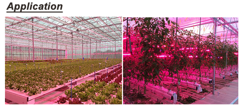 Tube Full Spectrum LED Plant Light , 200W LED Grow Lights 26000lx Lumens