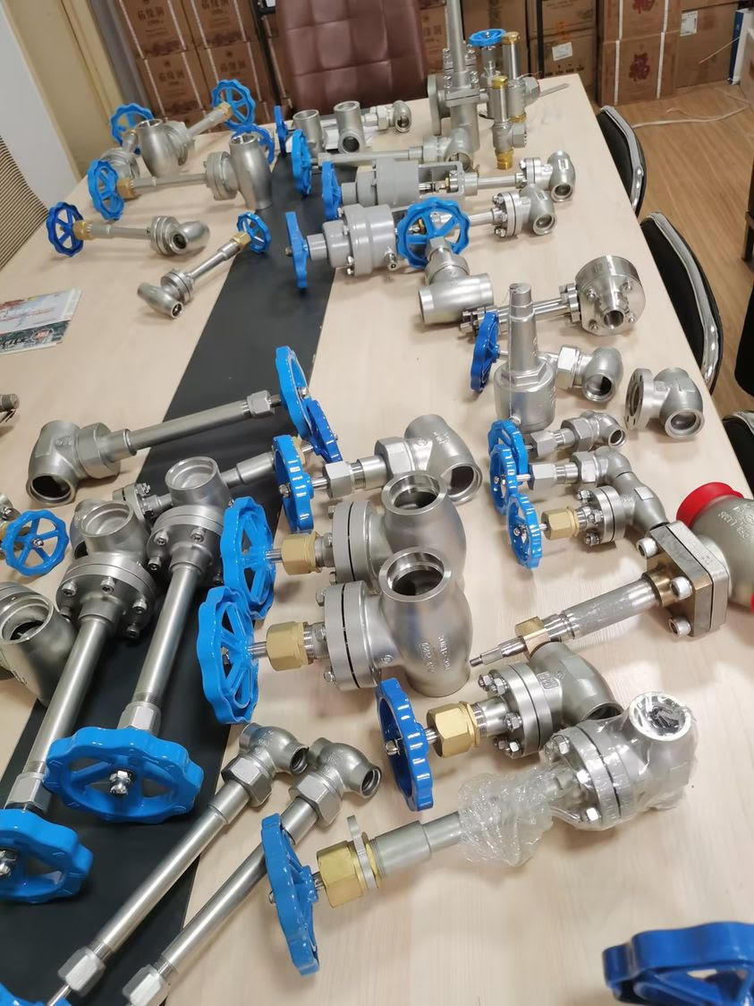 Stainless Steel Cryogenic Globe Valve with 5.0Mpa Maximum Pressure and -196 to