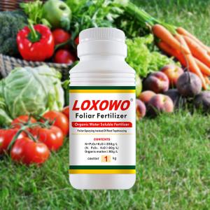 Npk Natural Water Soluble Fertilizer Humic Acid Containing