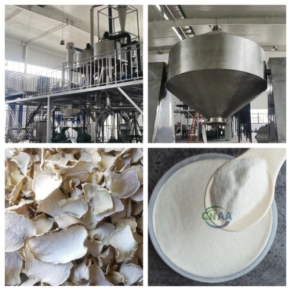 White Konjac Glucomannan Powder Dietary Supplements Filled In Capsules