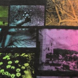 Eco-Friendly Printed Mens Casual Tops With Sleeveless , Cotton Material