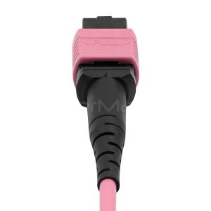 Customized MPO Solutions MPO Male to MPO Female Trunk Cable Assembly