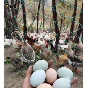 Heavy Duty Bird Proof Net 3cm / 5cm / 7cm / 10cm HDPE Anti Bird Net