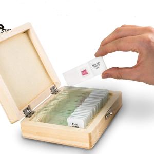 College Students Glass 132pcs ODM Plant Microscope Slides