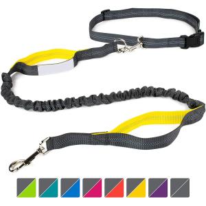 4 Feet Long Bungee Dog Lead With Reflective Stitching