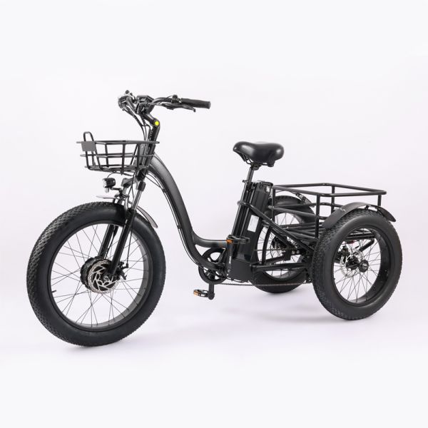 Wholesaler Adults 750w/500W 3 Wheel Electric Cargo Tricycle with Aluminium Alloy Fork