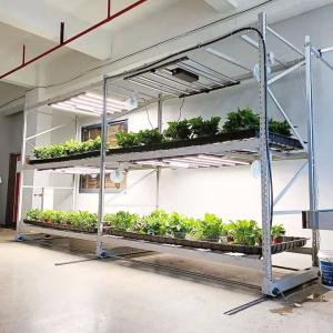 Hydroponic Rack System Vertical Farming Racks Electrostatic Powder Coating