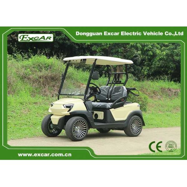 1-2 Seats Electric Golf Carts With 48v Lead Acid Battery Or Lithium Battery