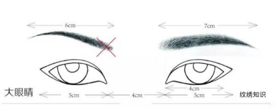 Artificial Fibers Cosmetic Beauty Tools / Black Eye Makeup Brushes For Eyelashes / Eyebrows