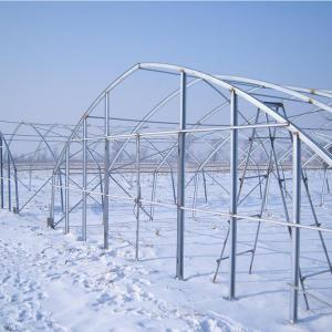 Plastic Covering Polyethylene Film Greenhouse / Single Span Tunnel Flower Power