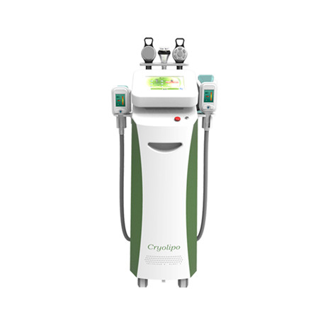 Buy Non Invasive Ultrasonic Liposuction Cryolipolysis Slimming Machine 40KHZ(NBW-C325) at wholesale prices