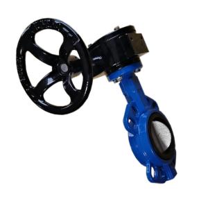 NPT Thread 1000PSI Threaded Butterfly Ball Valve