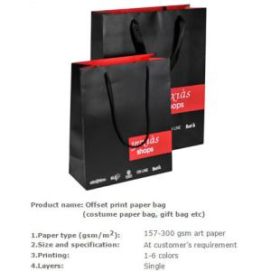 Nice Design Paper Shopping Bag , Recycle / Environmental Luxury Shopping Paper