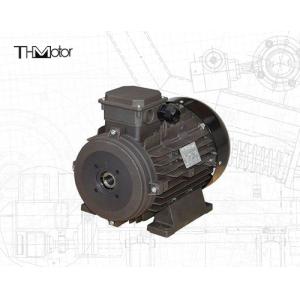 Power Hollow Shaft/Solid Shaft IP54/IP55 Voltage DC Motor for Industrial