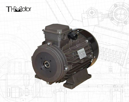 Buy Power Hollow Shaft/Solid Shaft IP54/IP55 Voltage DC Motor for Industrial Applications at wholesale prices