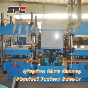 Rubber Duplex Curing Press with Customizable, Rubber Mat Hidraulic press