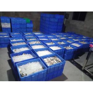 Industrial Freezer Quick Freezing Tunnel Fish Freezer Liquid Nitrogen Tunnel