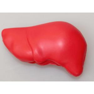 China PU Foam Liver Shape Promotional Stress Relievers For Hospital Donation Patient Gifts on sale