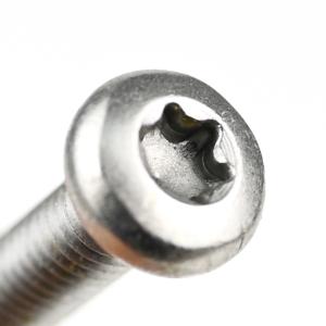 Metric Measurement System Stainless Steel Self Tapping Screws for Simple