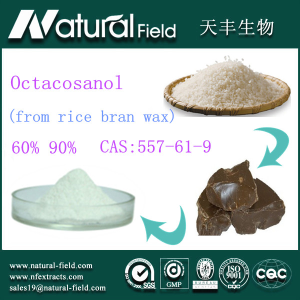 Buy reducing blood fat octacosanol 60% 90% rice bran wax extract at wholesale prices