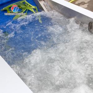 Vegetables bubble washing machine Wash Washer Washing Cleaning processing