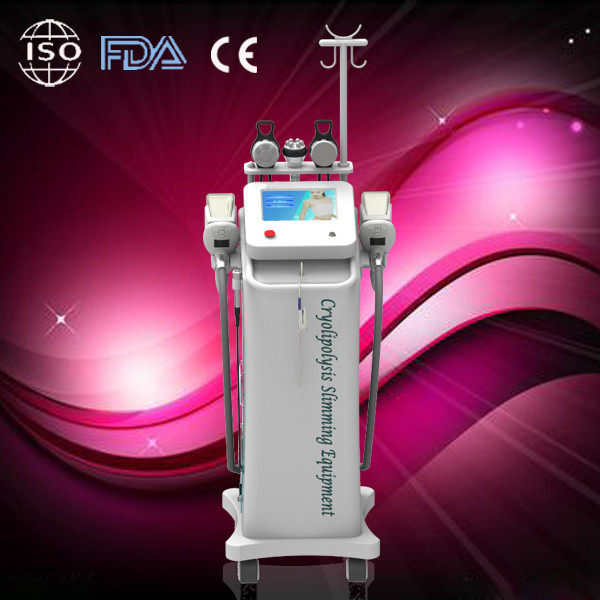 Buy Freeze Cryolipolysis Slimming Machine Touch Color Screen For Spa at wholesale prices