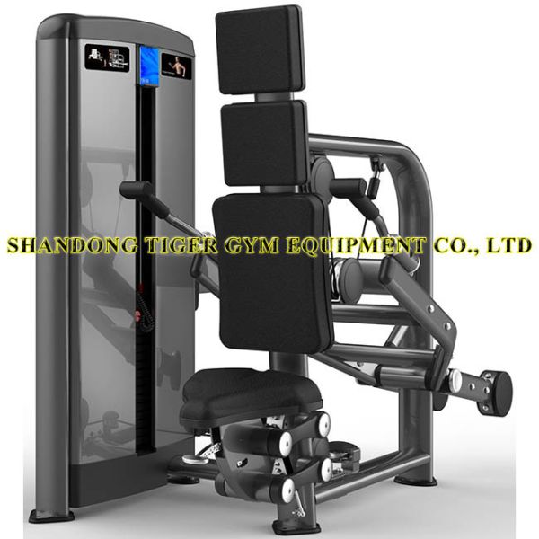 Fitness Equipment Triceps Extension for exercising Musculus triceps brachii /