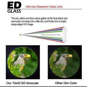 ED Glass 10x42 ED Binoculars Telescope Waterproof High Powered Binoculars