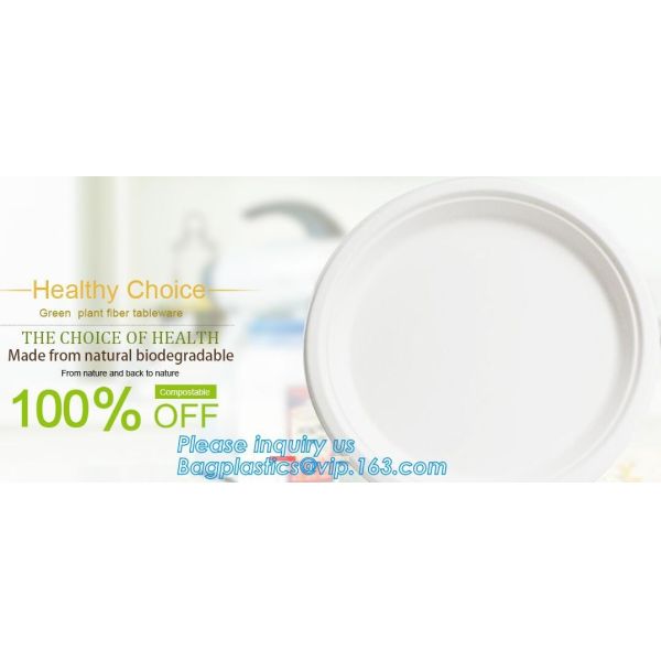 disposable takeaway bento to go box compostable food packaging sugarcane bagasse