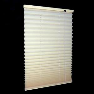 Contemporary Windows Shades Blinds Beige with Pleated Venetian style