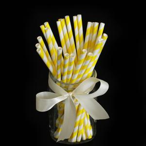 Food Grade Recyclable Biodegradable Paper Straws Printed Eco Friendly