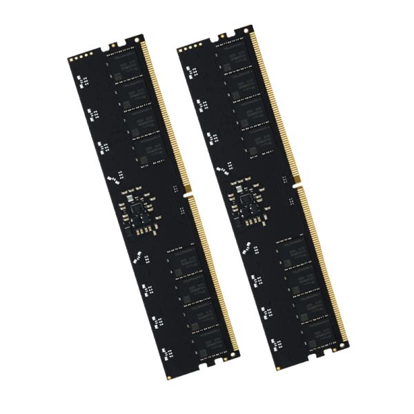 LASTINGIN DDR5 RAM 64GB 6000MHz ECC Memory Module