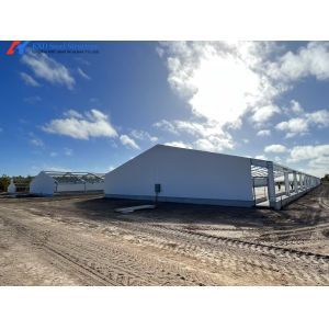 Galvanized Steel Piggery Shed Construction Steel Structure Chicken Shed