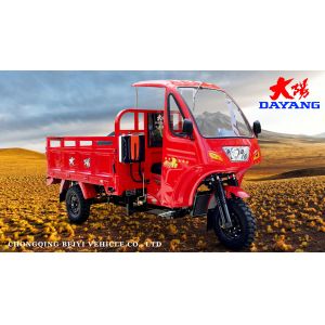 250CC Petrol Gasoline Closed Three Wheels Motorcycle for Heavy Duty Cargo