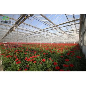 Outdoor Shading Glasshouse for Humidity Control in Commercial Greenhouse