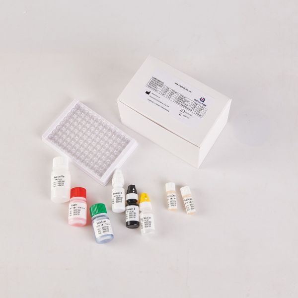 Buy RUO HSV2 IgM Elisa kit at wholesale prices
