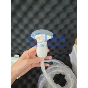 Chison IVIS30 IVIS40 IVIS50 IVIS60 Convex Ultrasound Probe D3C60L